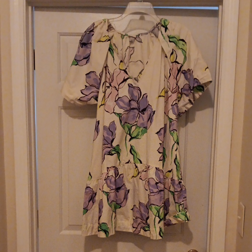A New Day Cream Floral Mini Dress